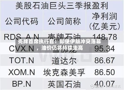 壳牌首席执行官：即便伊朗冲突落幕，油价仍将持续走高