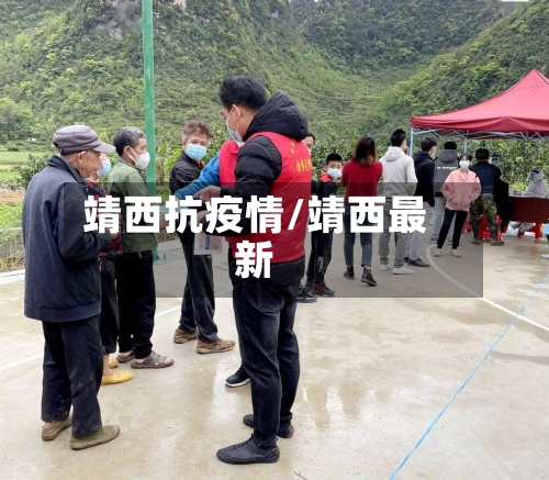 靖西抗疫情/靖西最新