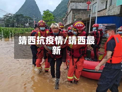 靖西抗疫情/靖西最新-第3张图片