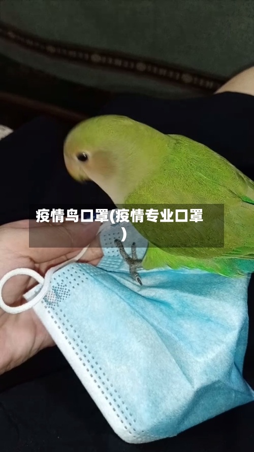 疫情鸟口罩(疫情专业口罩)