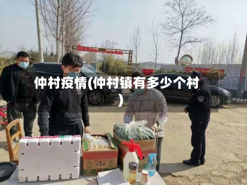 仲村疫情(仲村镇有多少个村)