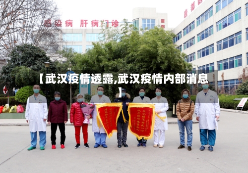 【武汉疫情透露,武汉疫情内部消息】