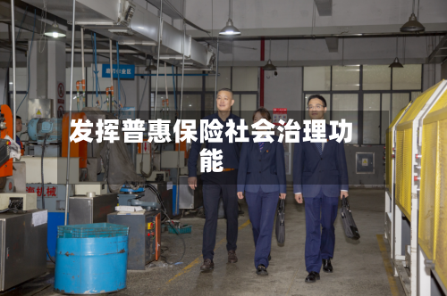 发挥普惠保险社会治理功能-第2张图片