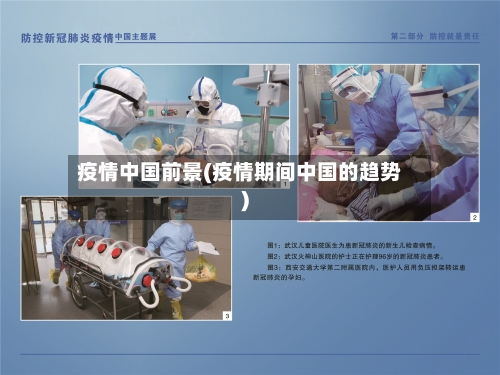 疫情中国前景(疫情期间中国的趋势)-第2张图片