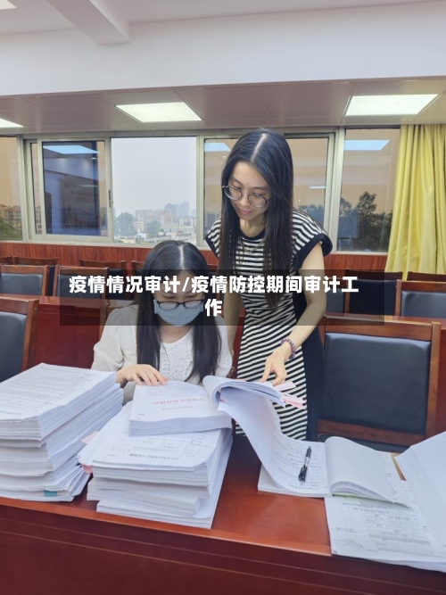 疫情情况审计/疫情防控期间审计工作-第2张图片