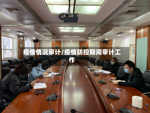 疫情情况审计/疫情防控期间审计工作