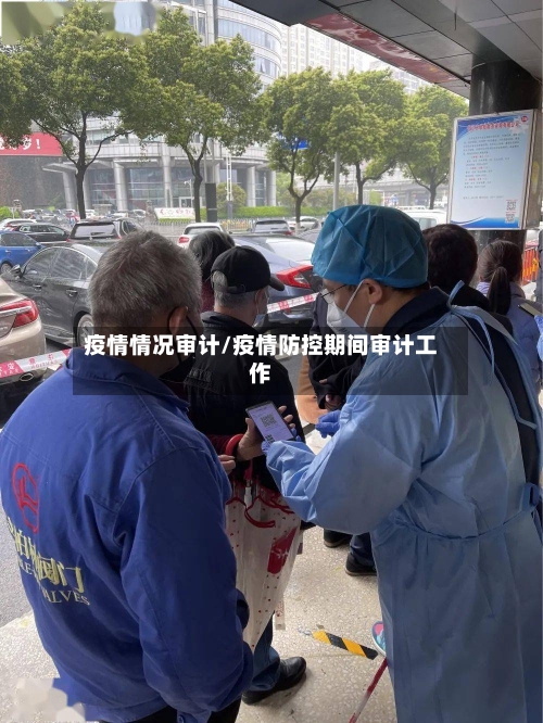 疫情情况审计/疫情防控期间审计工作-第3张图片