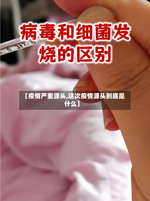 【疫情严重源头,这次疫情源头到底是什么】-第3张图片