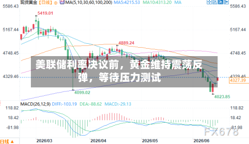 美联储利率决议前，黄金维持震荡反弹，等待压力测试-第3张图片