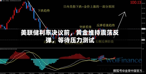 美联储利率决议前，黄金维持震荡反弹，等待压力测试