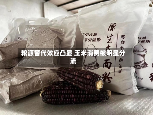 粮源替代效应凸显 玉米消费被明显分流