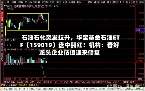 石油石化突发拉升	，华宝基金石油ETF（159019）盘中翻红！机构：看好龙头企业估值迎来修复-第2张图片