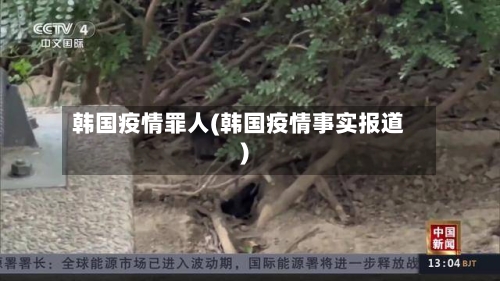 韩国疫情罪人(韩国疫情事实报道)-第2张图片