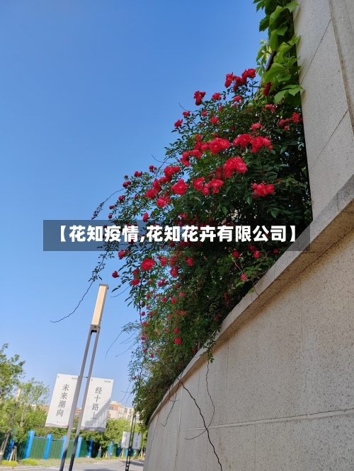 【花知疫情,花知花卉有限公司】