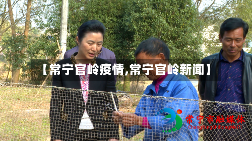 【常宁官岭疫情,常宁官岭新闻】