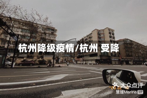 杭州降级疫情/杭州 受降