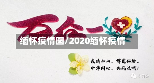 缅怀疫情图/2020缅怀疫情-第2张图片