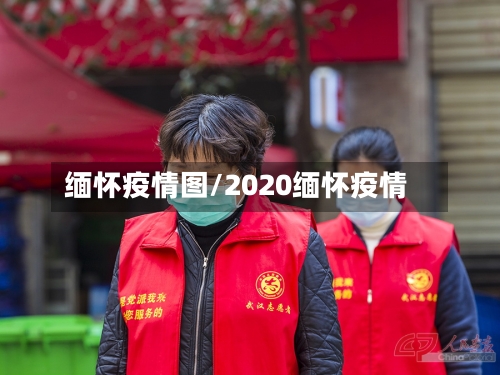 缅怀疫情图/2020缅怀疫情-第3张图片