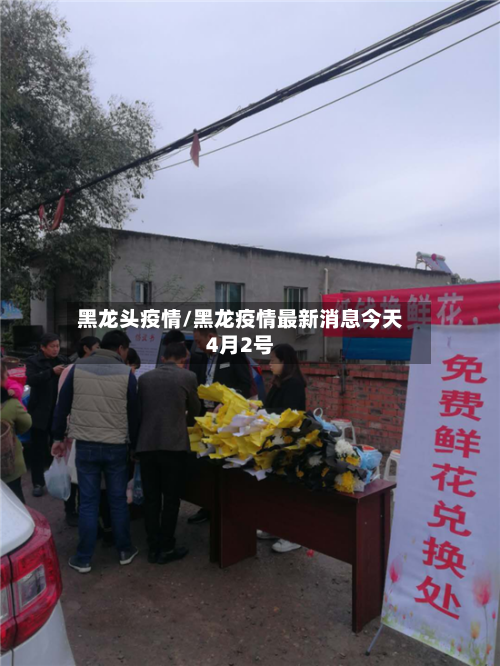 黑龙头疫情/黑龙疫情最新消息今天4月2号-第3张图片