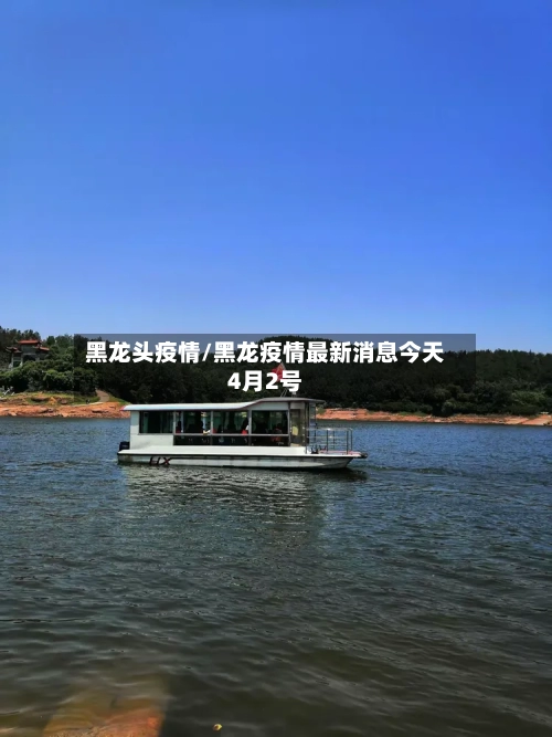黑龙头疫情/黑龙疫情最新消息今天4月2号