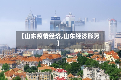 【山东疫情经济,山东经济形势】