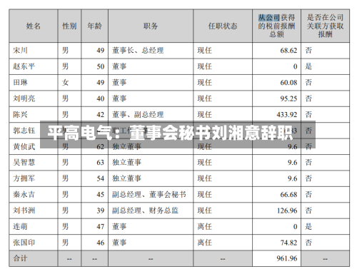平高电气：董事会秘书刘湘意辞职