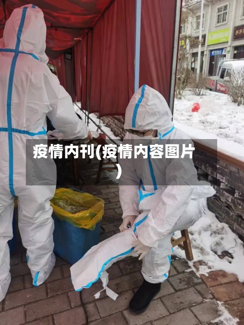 疫情内刊(疫情内容图片)