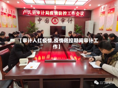 【审计人扛疫情,疫情防控期间审计工作】