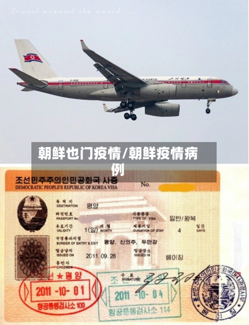 朝鲜也门疫情/朝鲜疫情病例