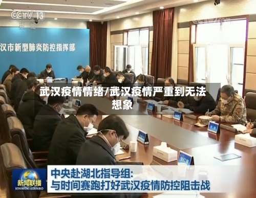 武汉疫情情绪/武汉疫情严重到无法想象