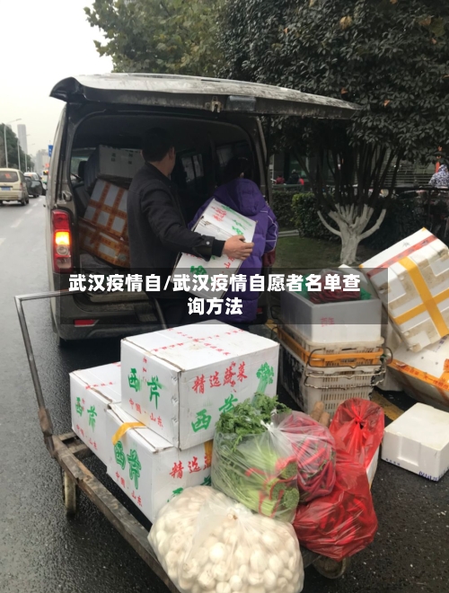 武汉疫情自/武汉疫情自愿者名单查询方法