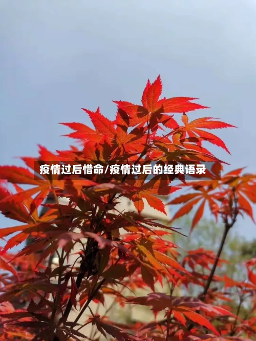 疫情过后惜命/疫情过后的经典语录-第2张图片