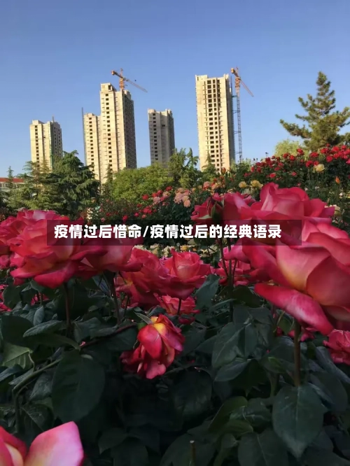 疫情过后惜命/疫情过后的经典语录-第3张图片