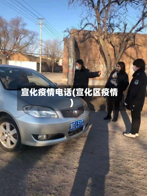宣化疫情电话(宣化区疫情)