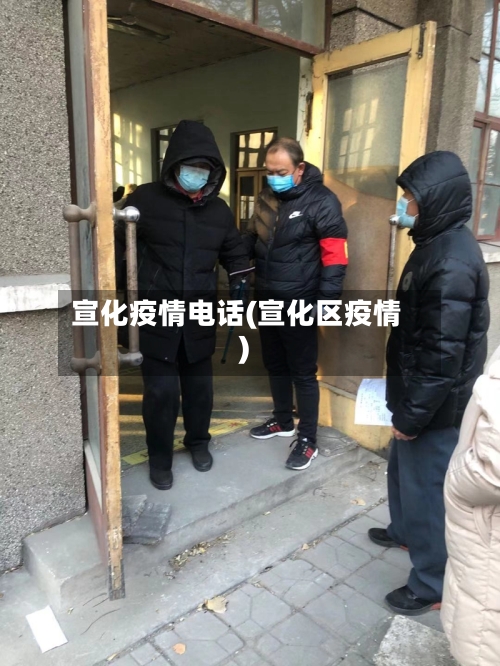 宣化疫情电话(宣化区疫情)-第2张图片