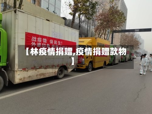 【林疫情捐赠,疫情捐赠款物】-第3张图片