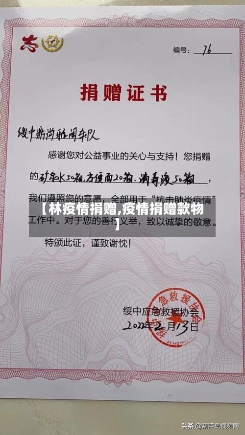 【林疫情捐赠,疫情捐赠款物】-第2张图片