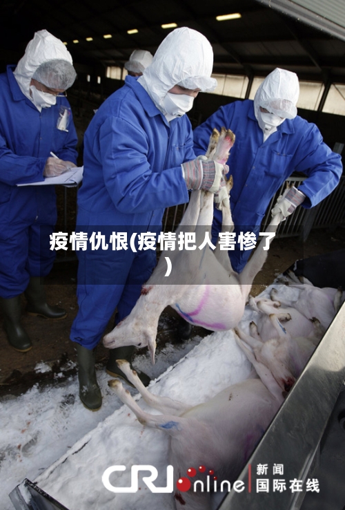疫情仇恨(疫情把人害惨了)-第3张图片