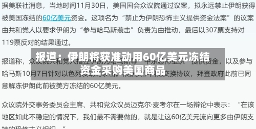 报道：伊朗将获准动用60亿美元冻结资金采购美国商品-第2张图片