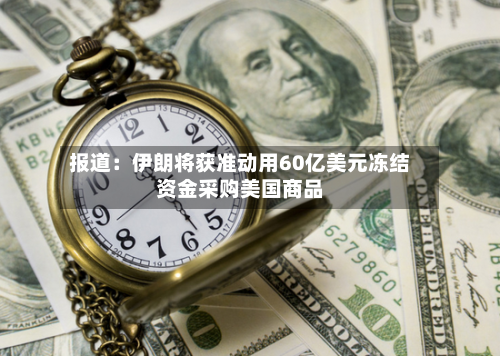报道：伊朗将获准动用60亿美元冻结资金采购美国商品