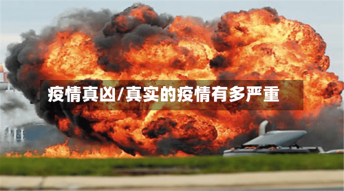 疫情真凶/真实的疫情有多严重