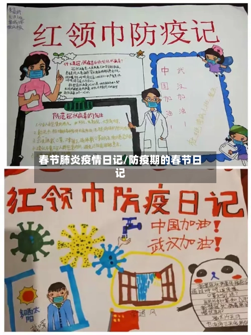 春节肺炎疫情日记/防疫期的春节日记-第2张图片