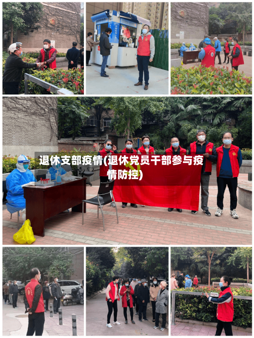 退休支部疫情(退休党员干部参与疫情防控)