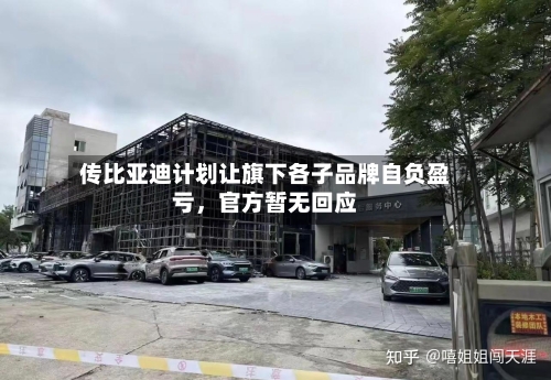 传比亚迪计划让旗下各子品牌自负盈亏，官方暂无回应