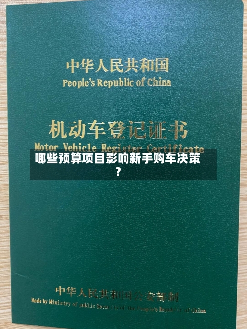 哪些预算项目影响新手购车决策？