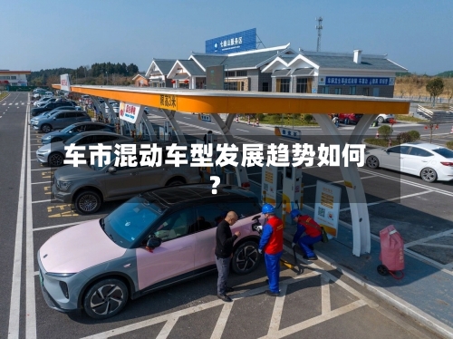 车市混动车型发展趋势如何？