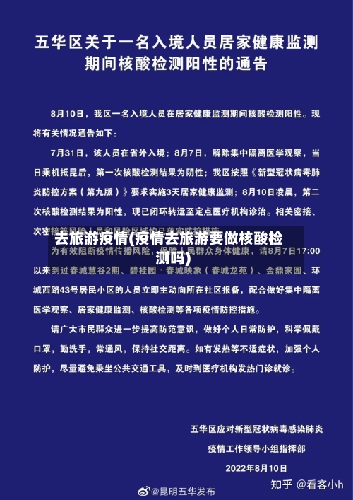 去旅游疫情(疫情去旅游要做核酸检测吗)-第2张图片