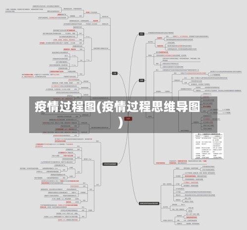疫情过程图(疫情过程思维导图)