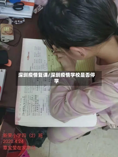 深圳疫情复课/深圳疫情学校是否停学-第2张图片