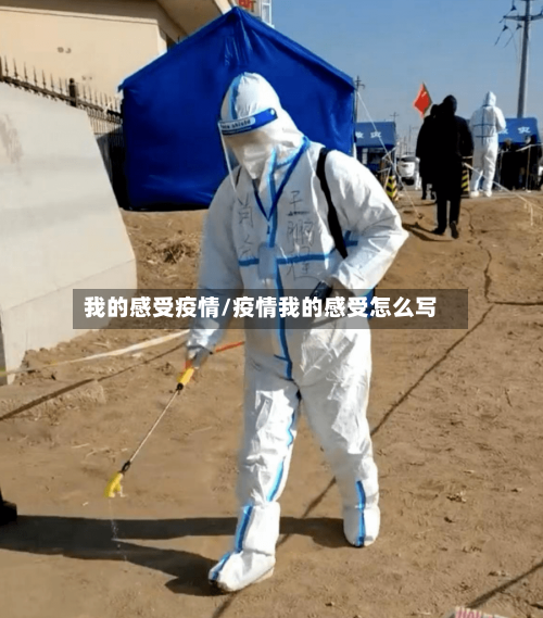 我的感受疫情/疫情我的感受怎么写
